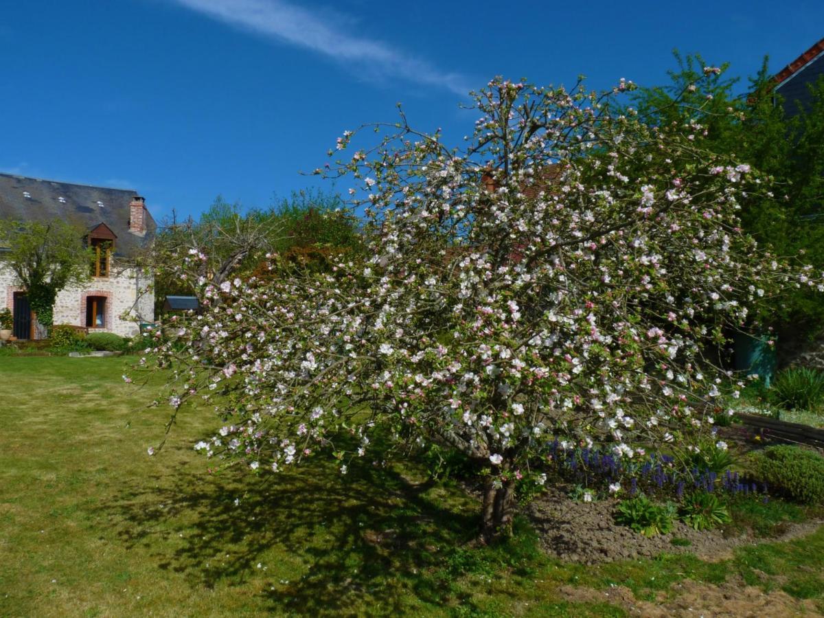 Een Prachtige Gite In Frankrijk Chez Gerard Vieilleville エクステリア 写真